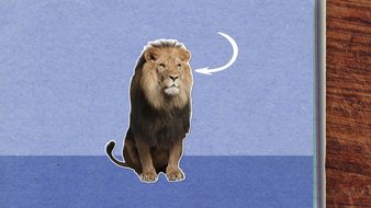 Pourquoi dit-on que le lion est le roi des animaux ?