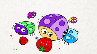 Insectes aux fraises