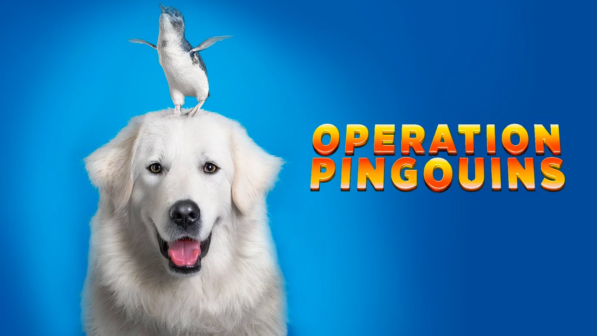 Opération Pingouins - Film Enfant | TFOU MAX