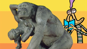 Gorille enlevant une femme